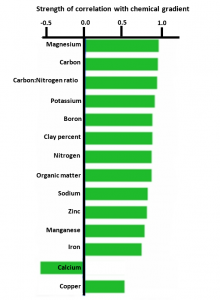 This graph shows how each chemical tested in the bay correlates with the chemical gradient. Calcium is the only chemical with a negative correlation.
