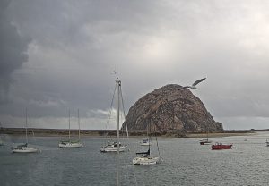 The sun filters through the clouds in the background as a seagull passes in front of Morro Rock.