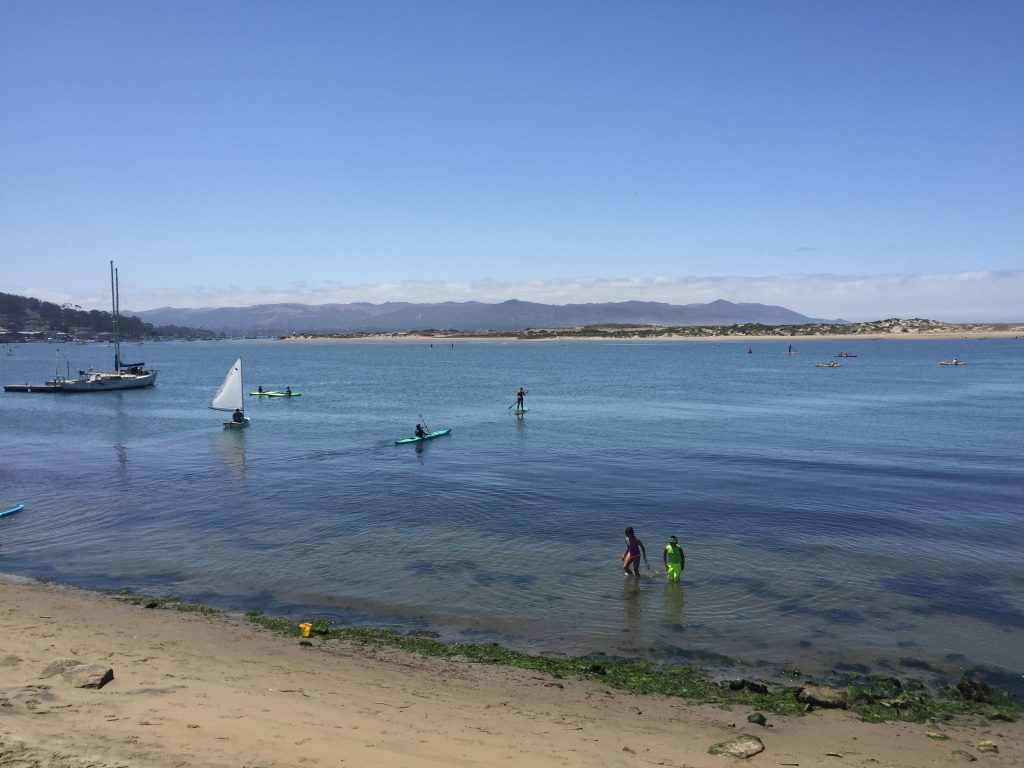 Coleman beach is often busy with people wading in the water, launching kayaks and paddleboards, and sailing by. 