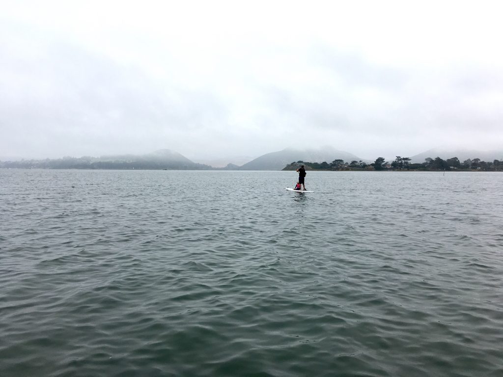 My family loves to paddle across the bay to explore the sandspit.