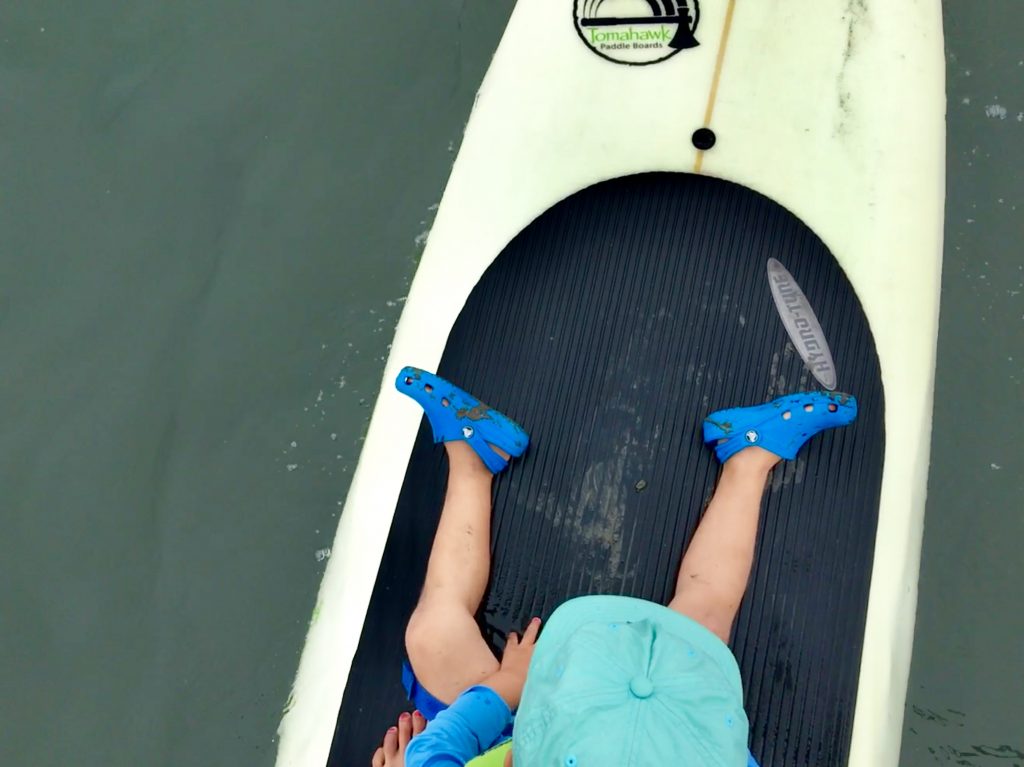 The kids ride at the front of the paddle boards and watch the water for wildlife.