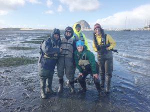 Another great day out on the water after a successful eelgrass planting. Thank you to George Trevelyan of Grassy Bar Oyster Co. for his help transporting everyone to this restoration site by boat.  