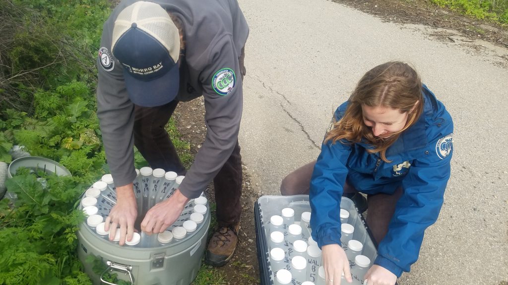 24 bottles fit in the lower portion of the ISCO and get filled every 30 minutes. Here, our AmeriCorps Watersheds Steward Program members, Doug and Melia, work on switching out a set of full bottles for a set of empty bottles. We bring the full bottles back to our lab space at Cuesta College for processing. To learn more about how and why we process sediment, read this blog post