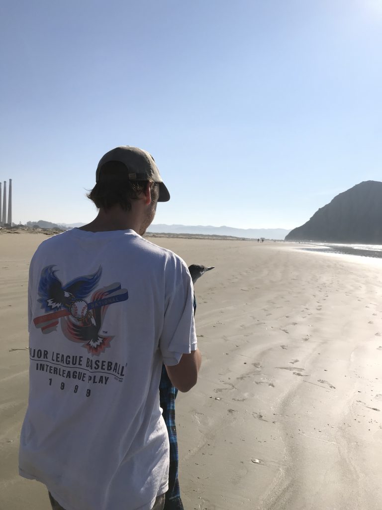 Liam Mora, a Cal Poly Junior majoring in Mechanical Engineering, carries the injured bird to Morro Rock parking lot. Photograph courtesy of Charlotte Ross.