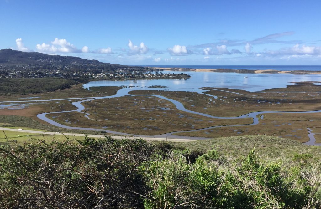 This picture captures a beautiful view from the Portola Point trail. Photograph courtesy of Norma Wightman 