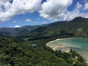 Beautiful picture of Hawaii