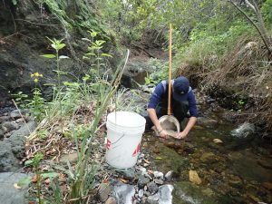 A volunteer works to collect all the macroinvertebrates in a one-foot by one-foot section on Pennington Creek.