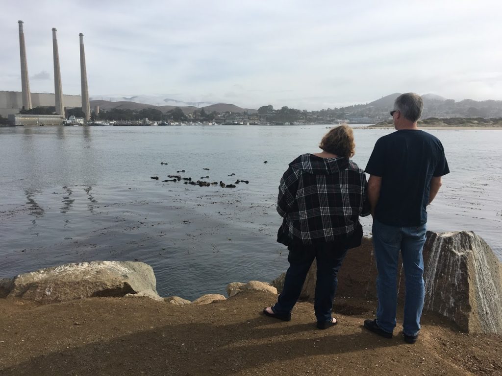 People watch sea otters near Morro Rock.