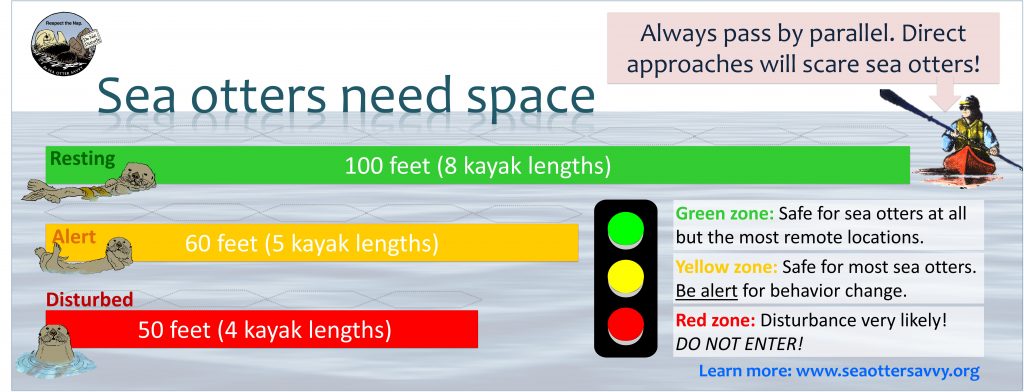 Graphic showing how far away to stay from sea otters