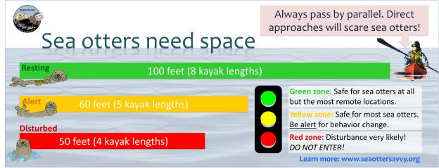 Be Sea Otter Savvy 2: Guidelines for Observing Sea Otters Safely