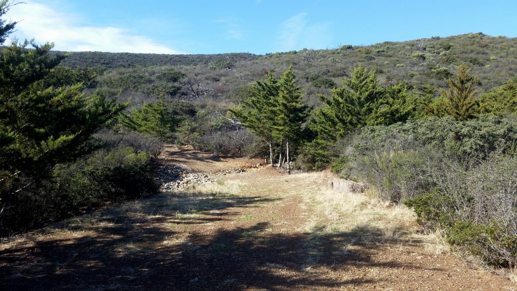 Upper Camp SLO, it looks different up here