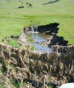 The picture above shows what you do not want to see. Erosion like this is what we are trying to fix now and avoid in the future, as it is damaging to the landscape, adding sediment to the creeks and the bay.