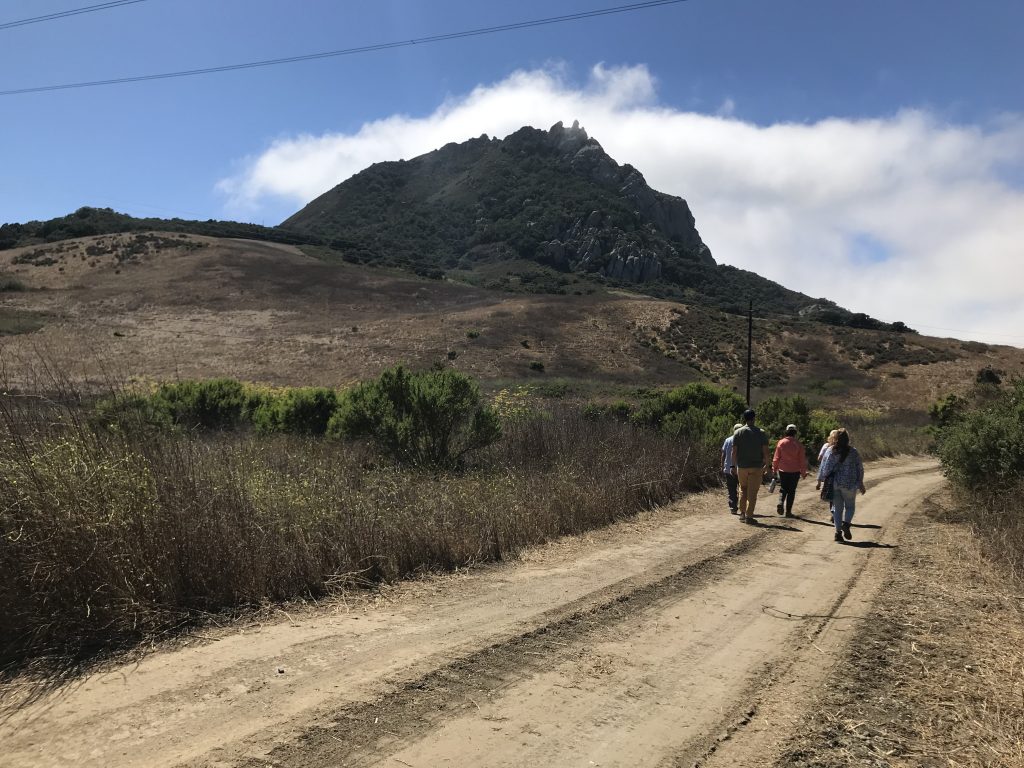 Estuary Program staff and Bay Foundation board members recently toured the project site.