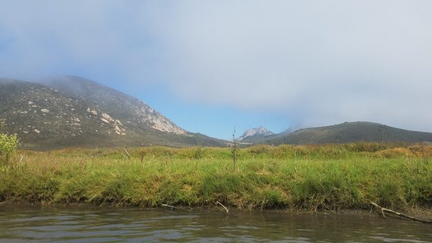 Lower Chorro Creek