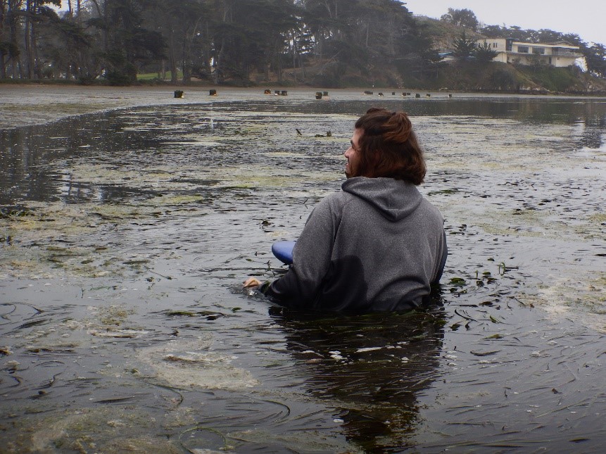 Here we’ve got one of our enthusiastic Marine Microbiology students taking a bit of a swim while collecting eelgrass samples!