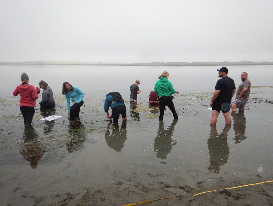 Field Work group