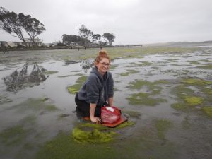 Jenna Stephanoff (former Cuesta College student, now at Cal Poly) kneels on a boogie board on an early morning expedition to collect specimens in the muddy, muddy, Back Bay!  