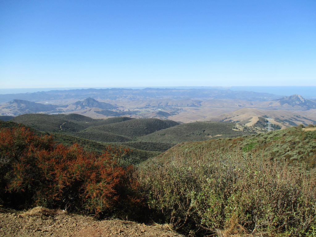 Upper Morro Bay watershed