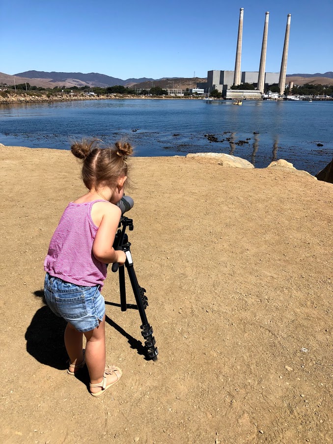 Child in pink shirt stands at spotting scope