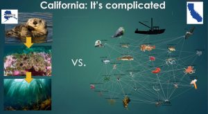 Figure that describes California coast food webs.