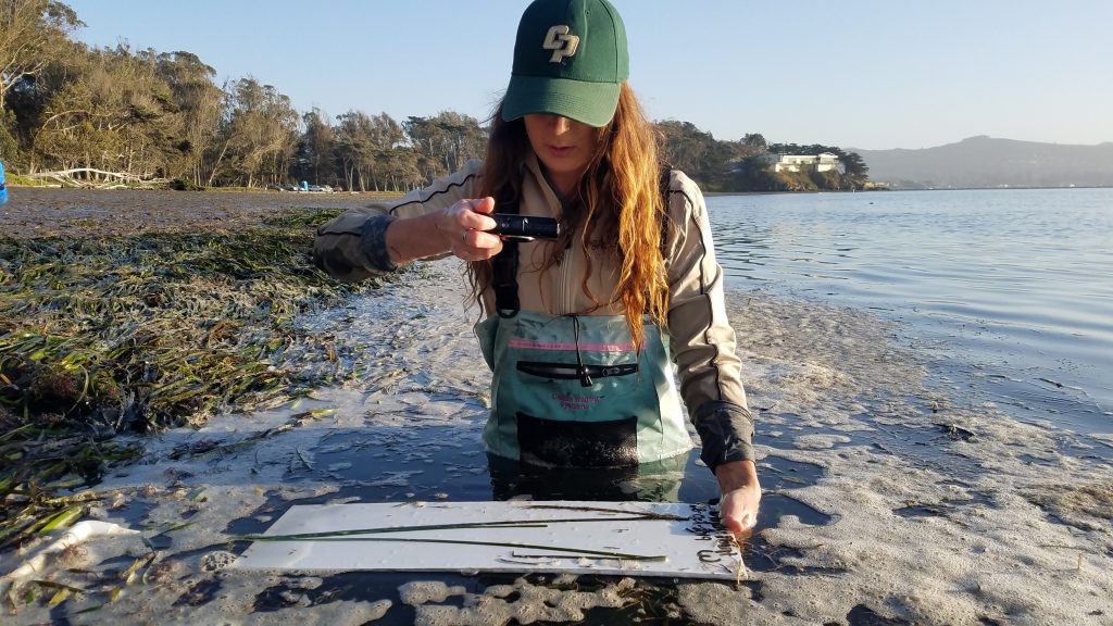 Andi, eelgrass technician.