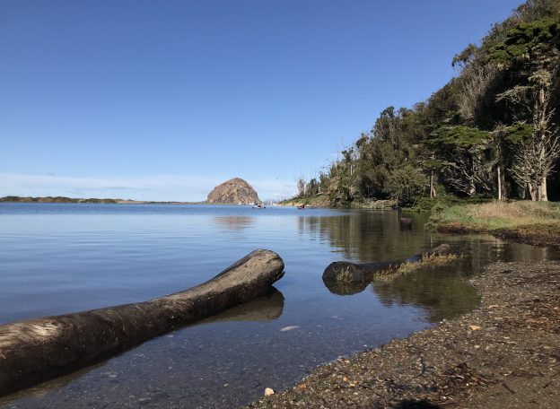 windy cove king tide 2019