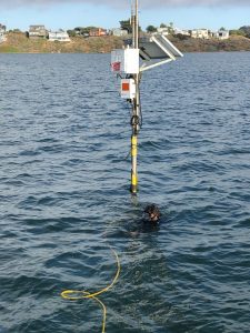 Back Bay Tidal Station Installation