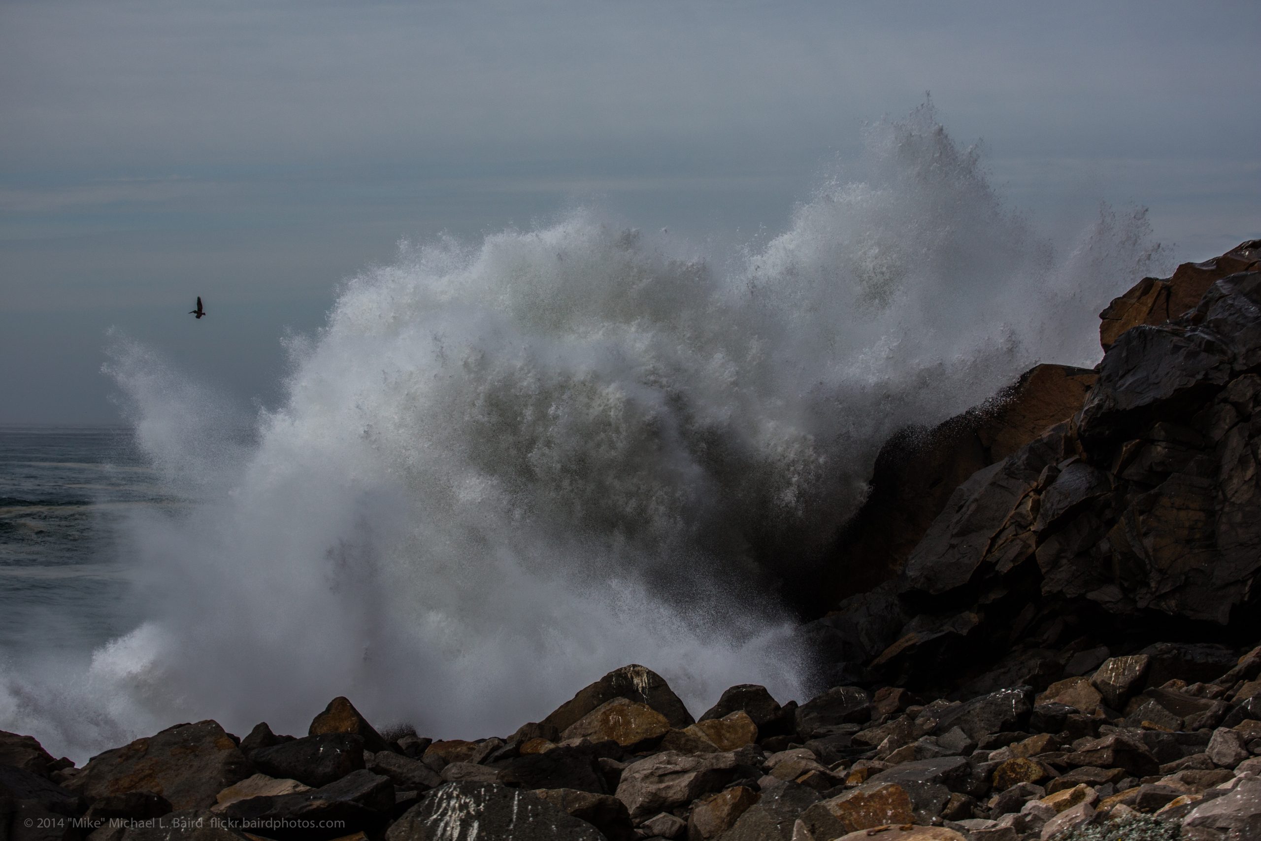 How will climate change likely affect the Morro Bay watershed and estuary?