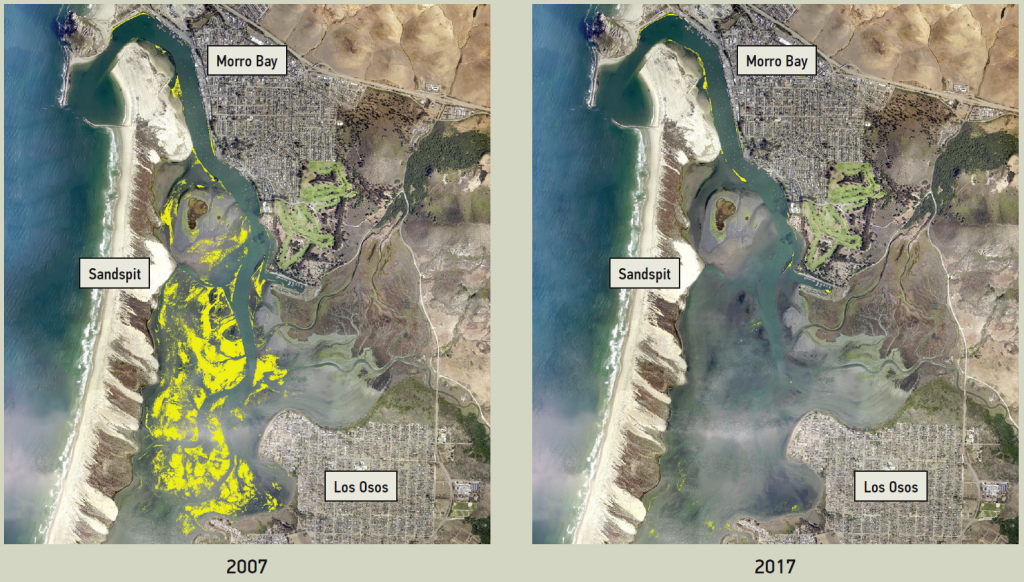 Eelgrass maps side by side with labels