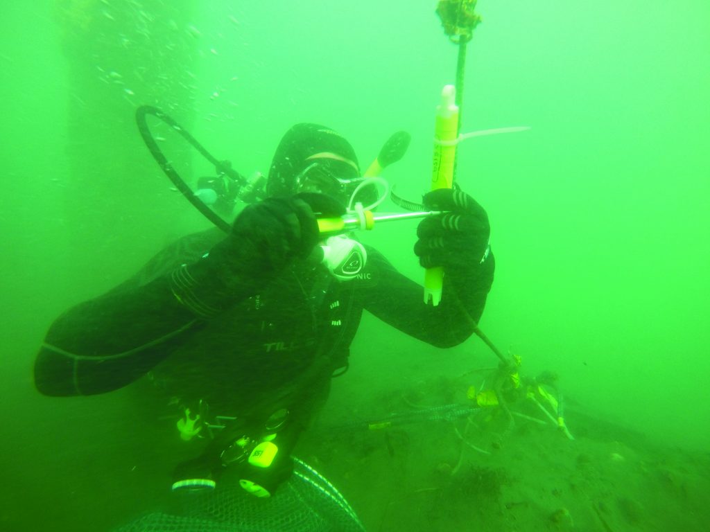 Edwin Rainville helps install sensors in the middle of the bay near Windy Point. Along with sensors near the Coast Guard station and the oyster farms, the data helps track water quality conditions throughout the bay.