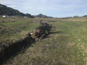 Fish Habitat Enhancement (Wood)