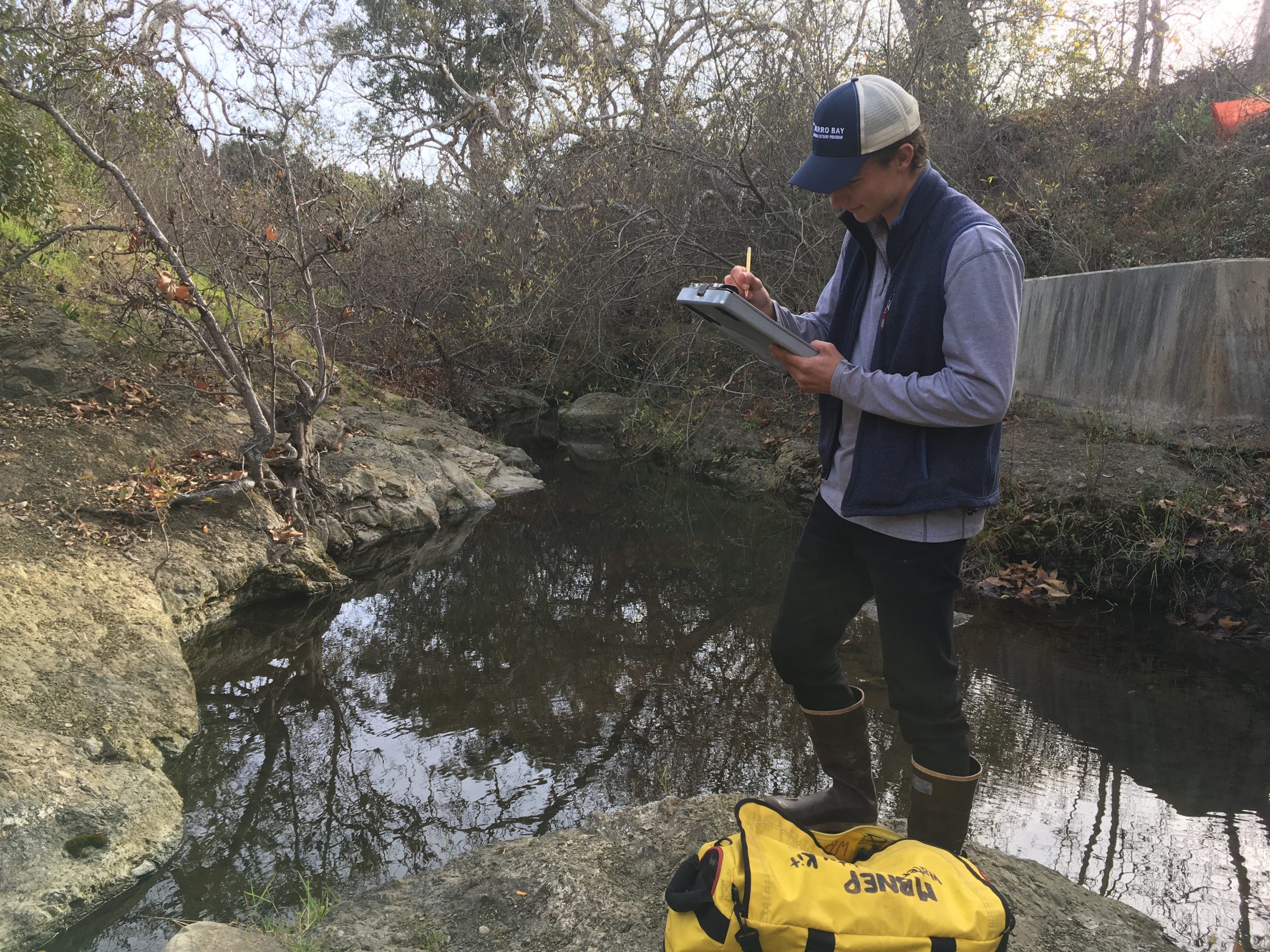 Field Updates January 2020 Eelgrass Success and Creek Water Quality