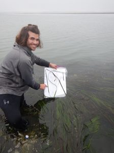 Student Eelgrass Collection