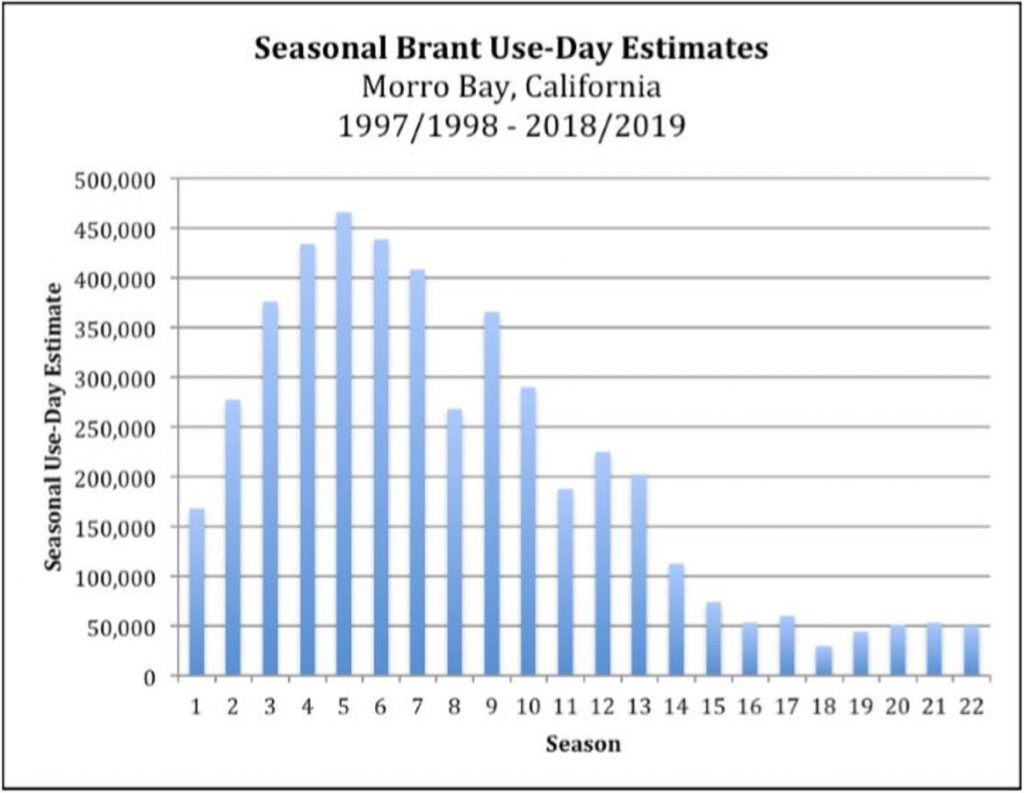 Seasonal Brant Estimates