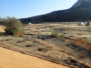 Native Vegetation Regrading