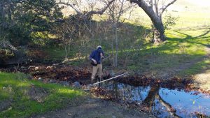 Blake, our monitoring technician, measures streamflow on Pennington Creek.