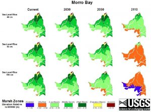 USGS Marsh Zones, Morro Bay