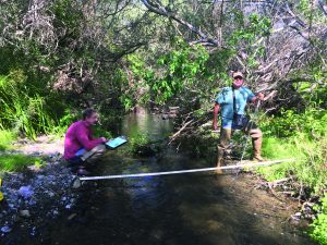 Nitrates, water in creeks and bay, Morro Bay National Estuary Program.