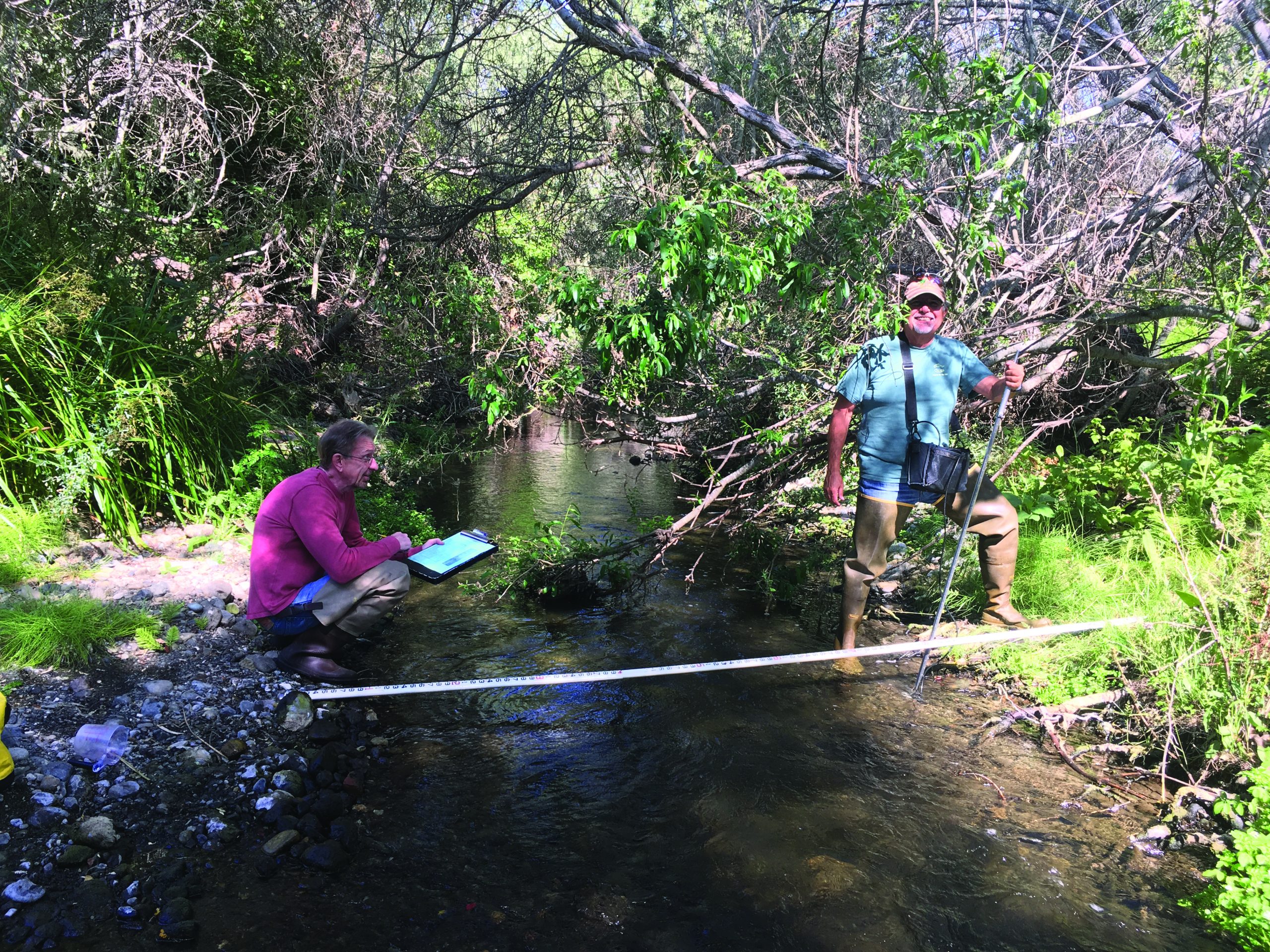 Is water in the creeks and bay clean enough for fish and aquatic life?