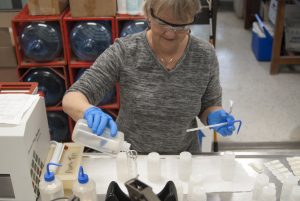 Bacteria Lab Work