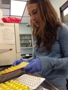 Bacteria Samples Counting