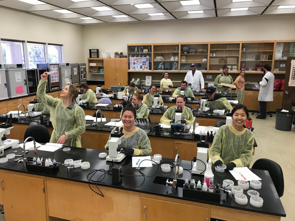 Cuesta College Students Lab Work