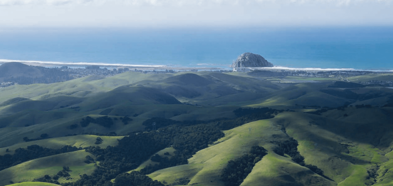 Morro Bay Mutt Mitts to the Rescue - Morro Bay National Estuary Program