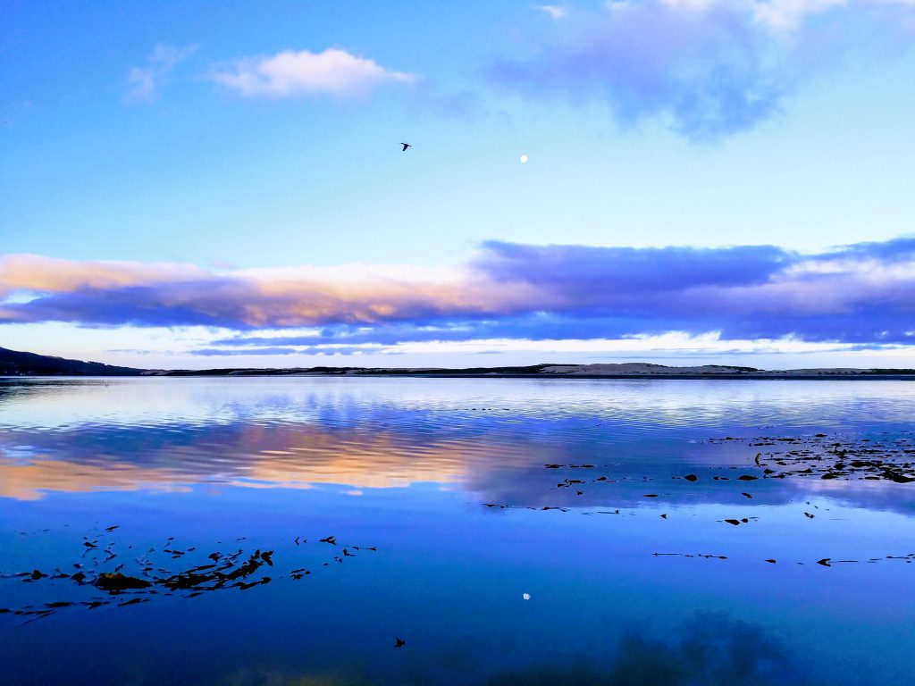 Estuary and sandspit, eelgrass in the foreground