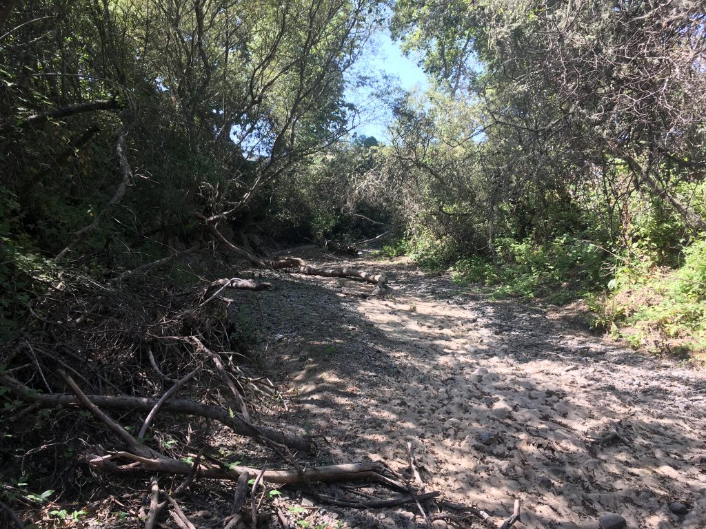 Los Osos Creek at LOVR during a period absent of surface flow. 