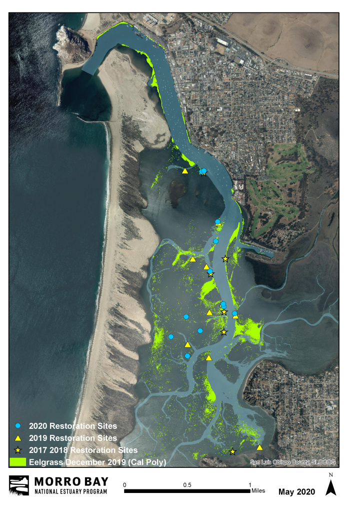 Eelgrass planting locations map