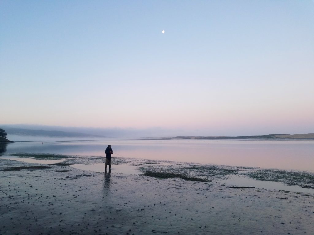 A staff member stands in waders in a puddle on the mudflat. 