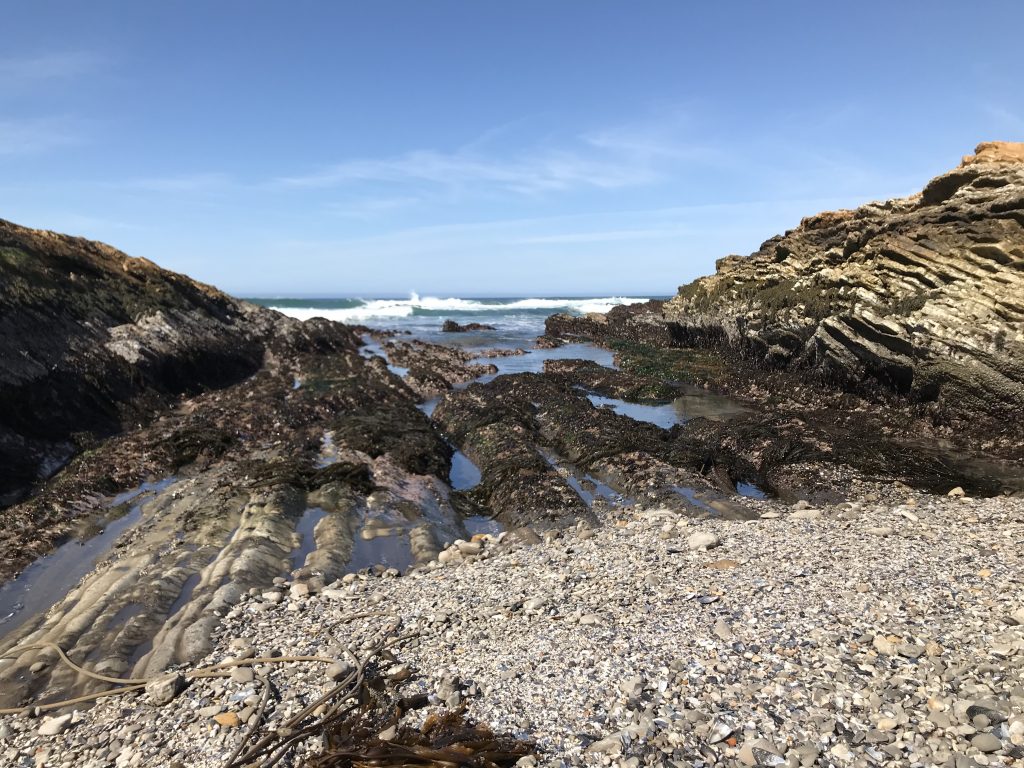 Tidepools at Montana de Oro State Park. 