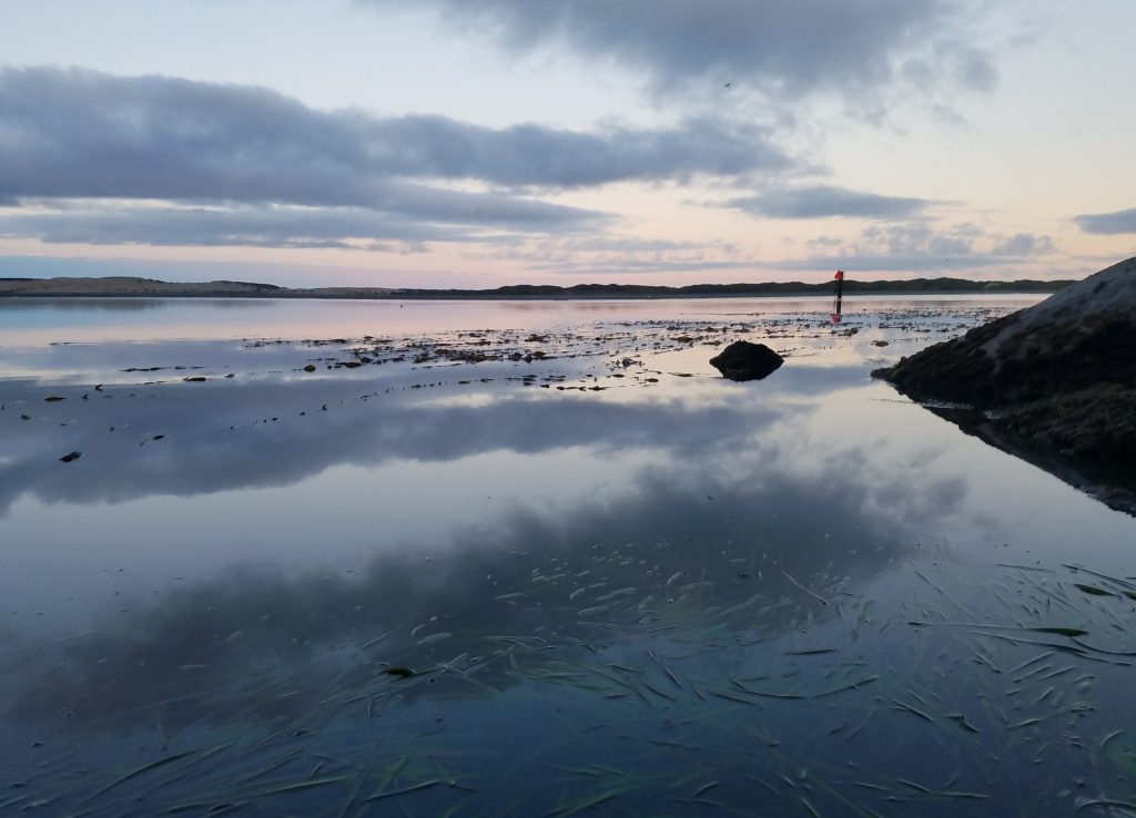 Water rises in Morro Bay