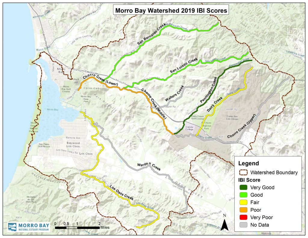 For creeks with multiple sites, we combined the data to create a single score for each creek. The exception is Chorro, where the creek was divided into upper, middle, and lower segments based on hydrological characteristics, inputs, and other factors.